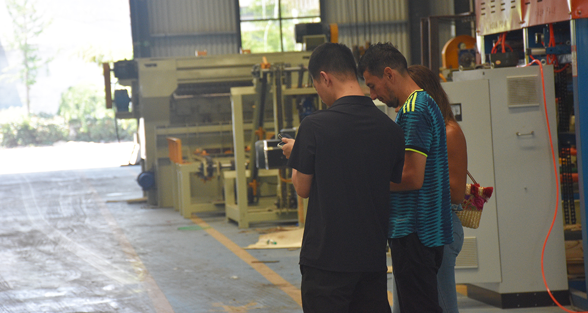 shandong alva machiney 1