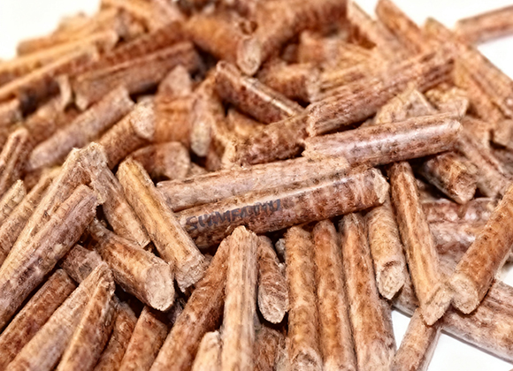 <em><strong>1 түрі</strong></em>