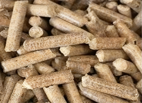 <em><strong>5 түрі</strong></em>