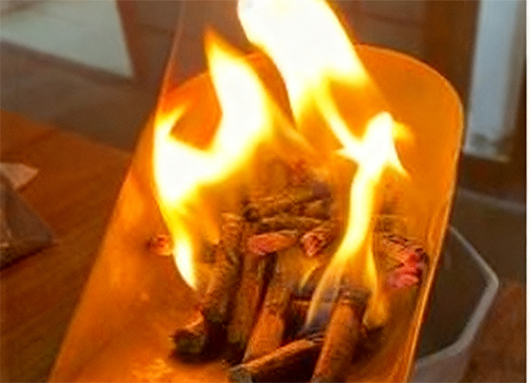 <em><strong>3 түрі</strong></em>